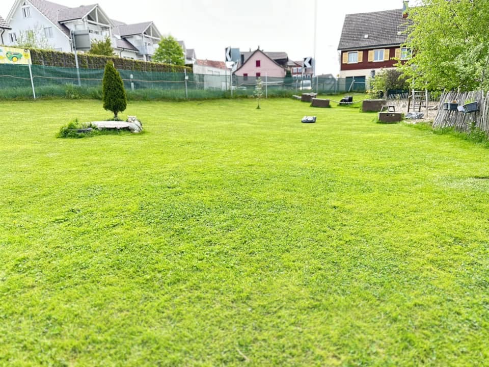 wolfschool.ch_Platz_1