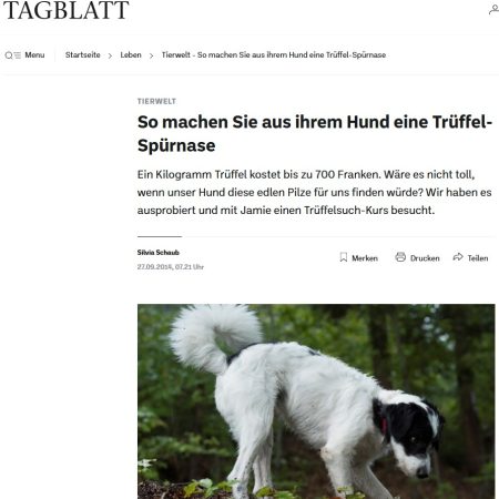 Screenshot Tagblatt